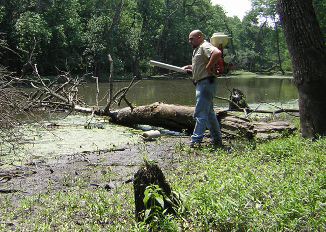 Treatment of woodland pool